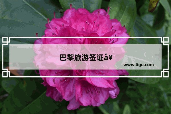 巴黎旅游签证好办吗