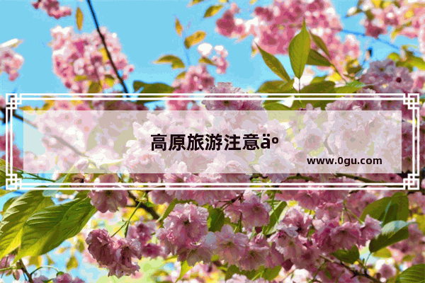 高原旅游注意事项及药品准备