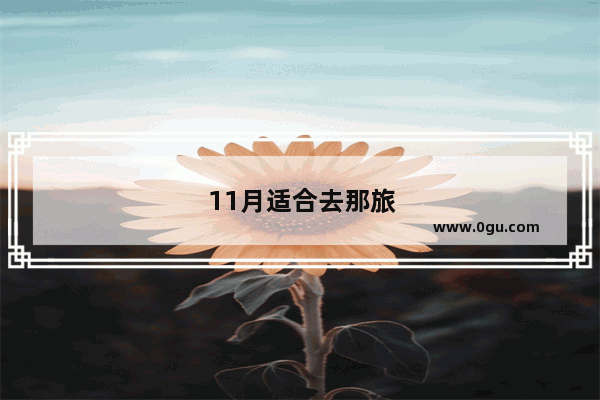 11月适合去那旅游