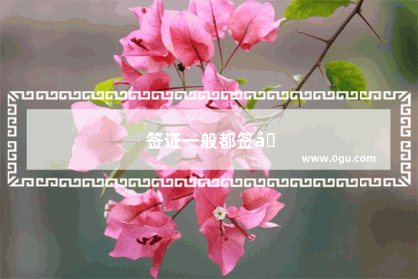 签证一般都签几年