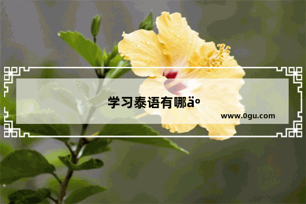 学习泰语有哪些原因