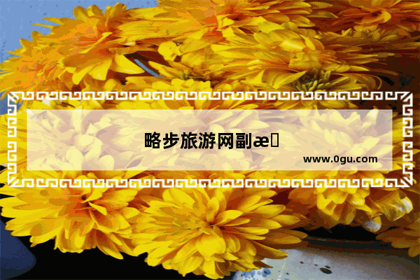 略步旅游网副总