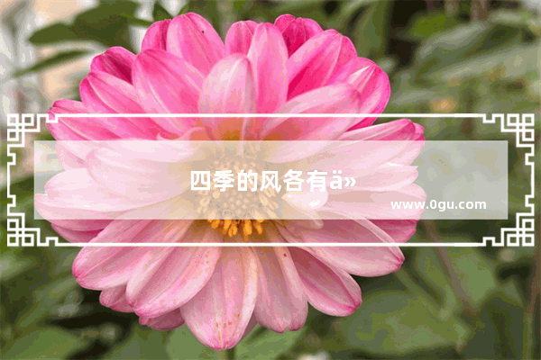 四季的风各有什么特点