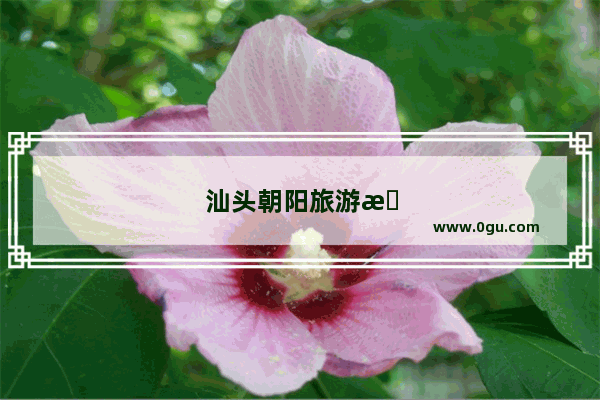 汕头朝阳旅游景点