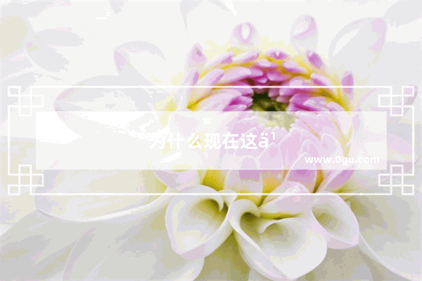 为什么现在这么多人做旅游自媒体？是为了赚钱还是为了旅游？这种旅游还有意义吗