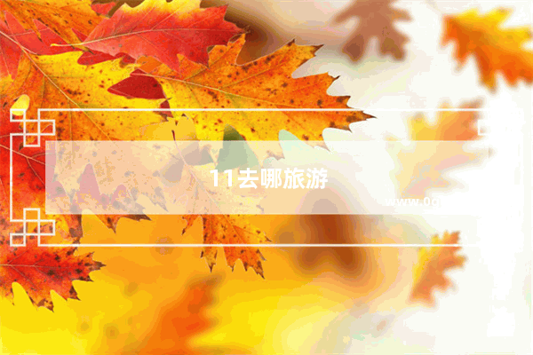 11去哪旅游
