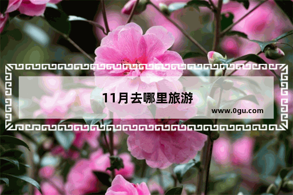 11月去哪里旅游最好国内