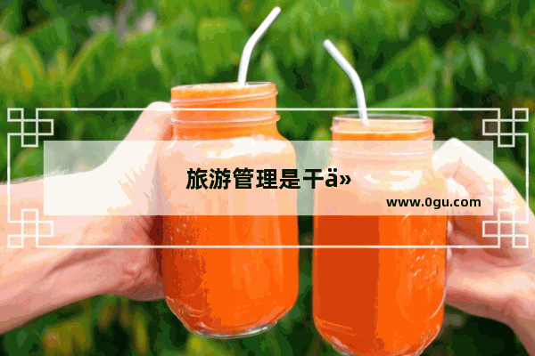 旅游管理是干什么的