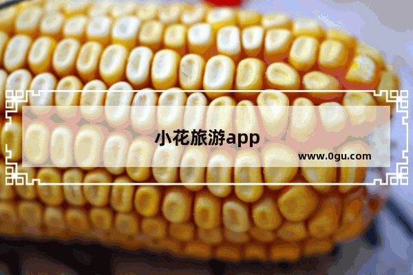 小花旅游app