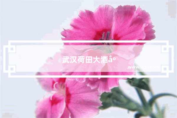 武汉荷田大酒店是旅游型还是商务型