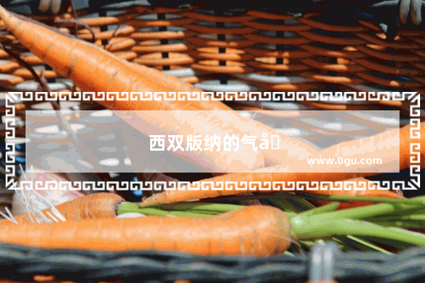 西双版纳的气候怎么样？什么时候适合去西双版纳旅行