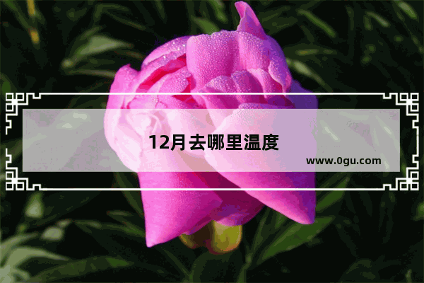 12月去哪里温度适宜