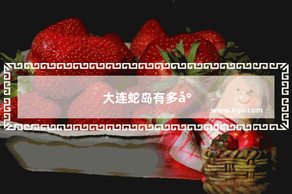 大连蛇岛有多少种蛇