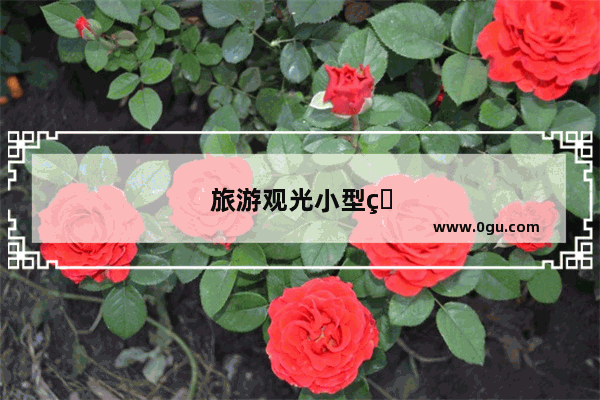 旅游观光小型直升机多少钱一架