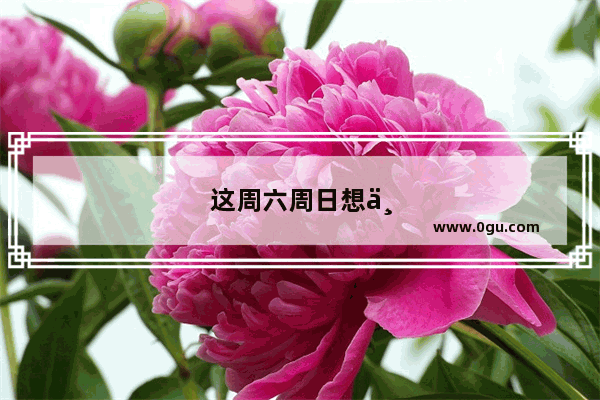 这周六周日想一个人去海边 本人在广州白云区 请问去哪里好 从来没有去过海边