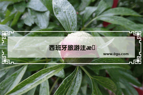 西班牙旅游注意事项有哪些