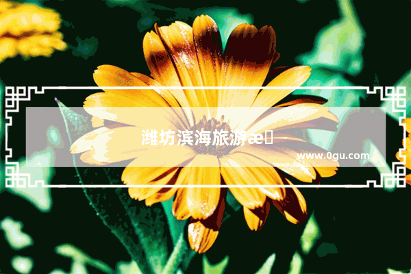 潍坊滨海旅游景点推荐一日游