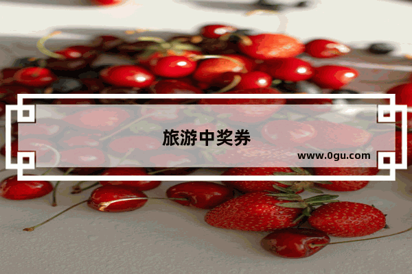 旅游中奖券