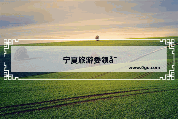 宁夏旅游委领导排名