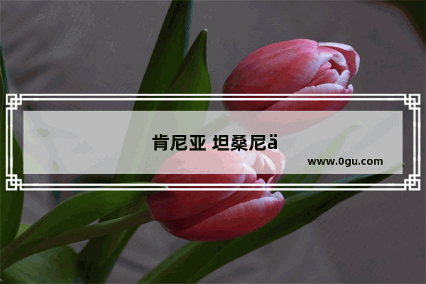 肯尼亚 坦桑尼亚旅游哪家强
