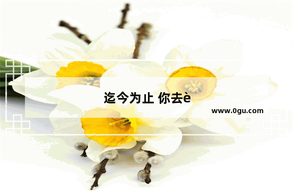 迄今为止 你去过多少个地方？有几个是说走就走的旅行