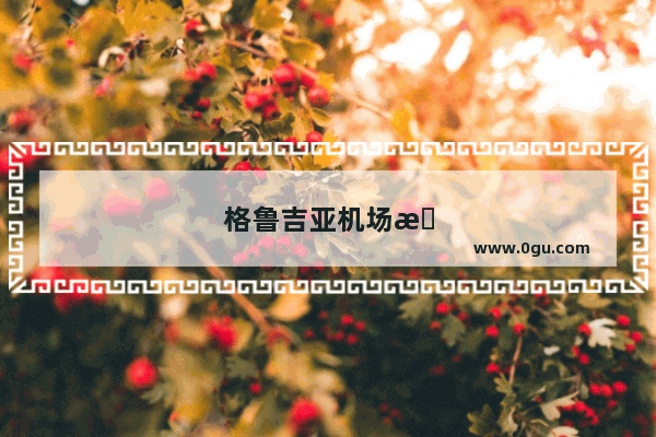 格鲁吉亚机场怎么出关