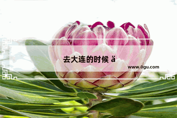去大连的时候 你选择住在哪个区域？实际上感觉方便吗