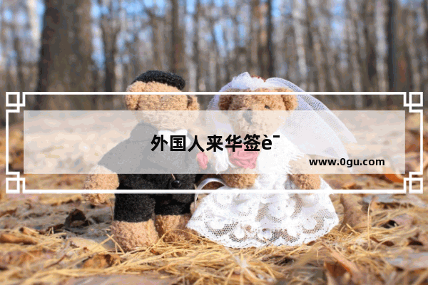 外国人来华签证种类有哪些