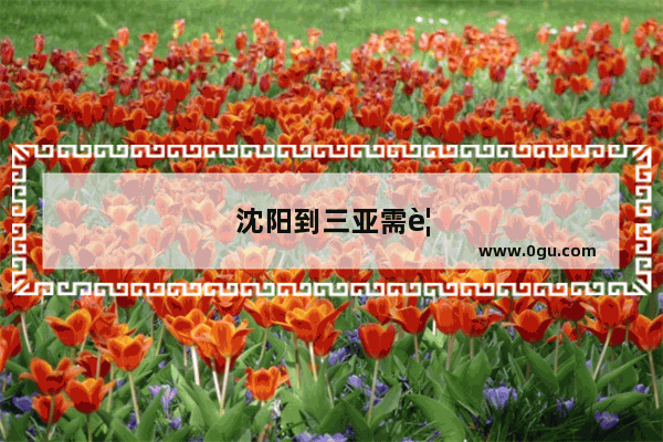 沈阳到三亚需要多长时间