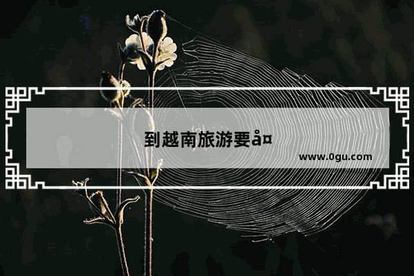 到越南旅游要多少钱5天4夜包团