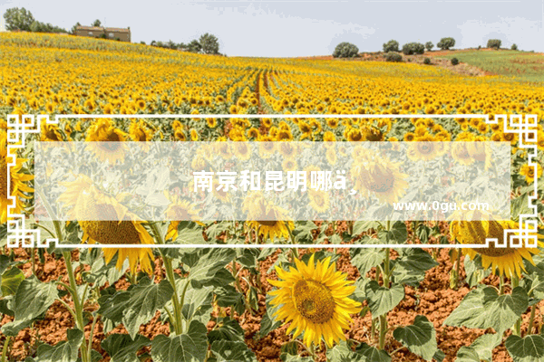 南京和昆明哪个地方更值得去呢