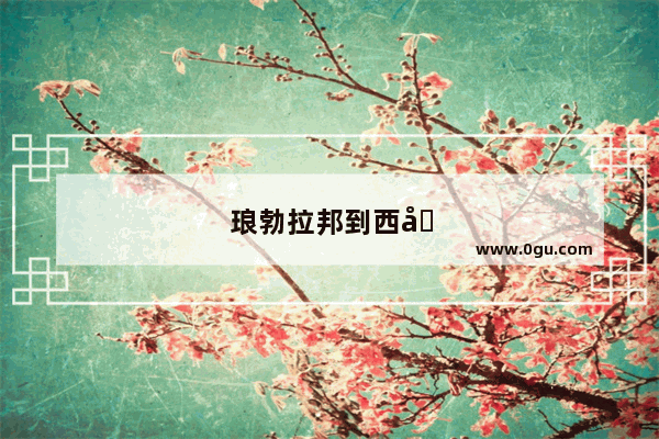 琅勃拉邦到西双版纳没买到直达车怎么办