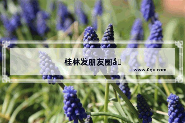 桂林发朋友圈句子简短