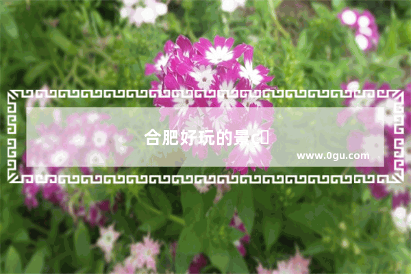 合肥好玩的景点有哪些