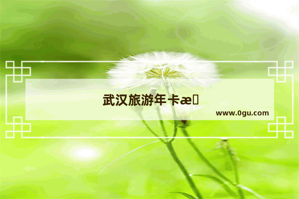 武汉旅游年卡有几种