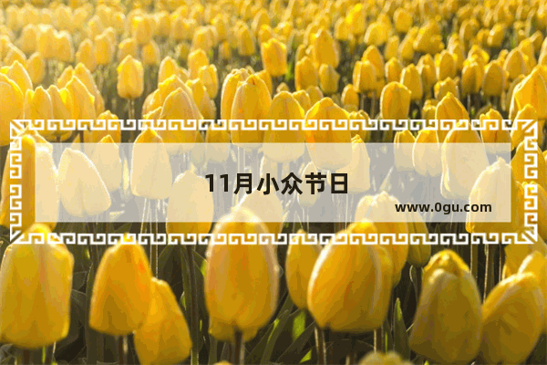11月小众节日