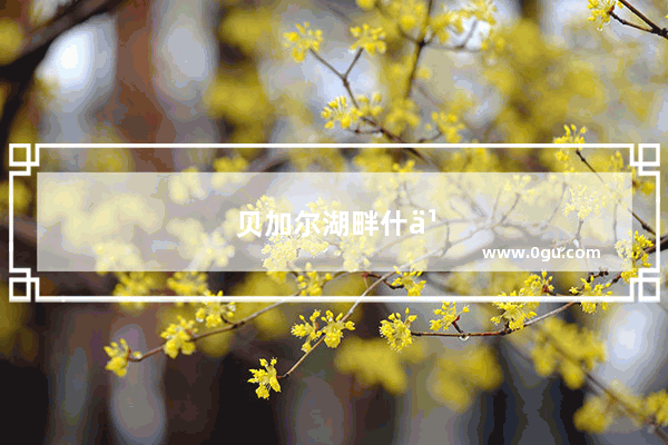 贝加尔湖畔什么时候去最好玩