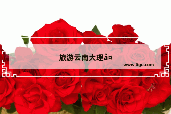 旅游云南大理多少钱