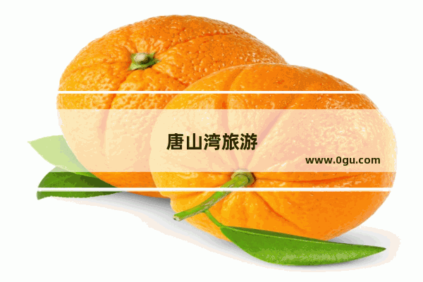 唐山湾旅游