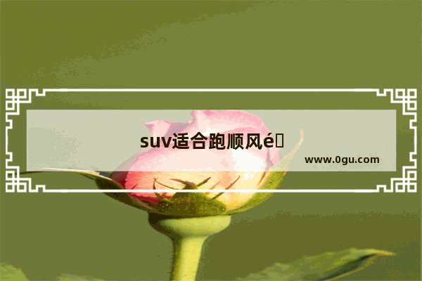 suv适合跑顺风长途么