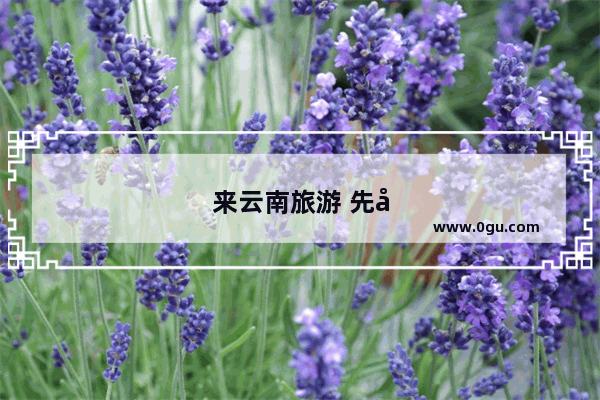 来云南旅游 先去哪里呢