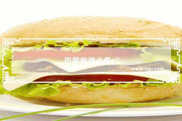 巴黎旅游必备物品