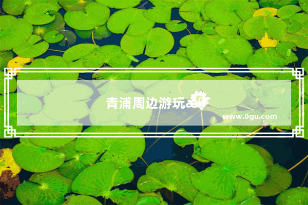 青浦周边游玩景点推荐