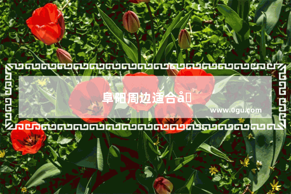 阜阳周边适合冬天玩的地方