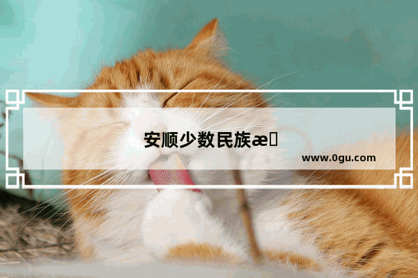 安顺少数民族旅游景点
