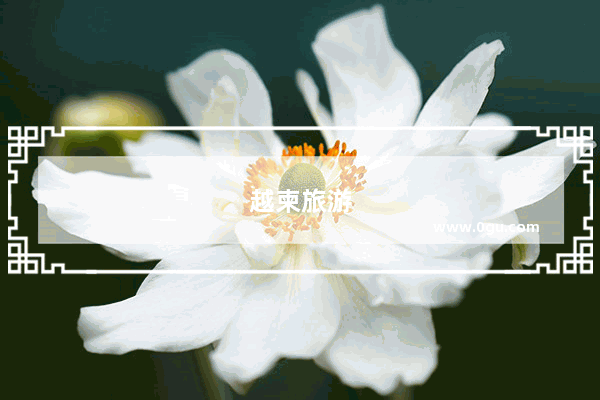 越柬旅游
