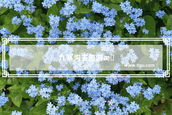 九寨沟去旅游攻略一日游