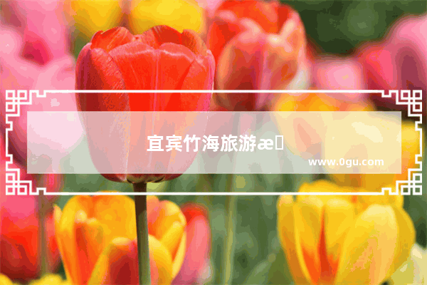 宜宾竹海旅游攻略路线