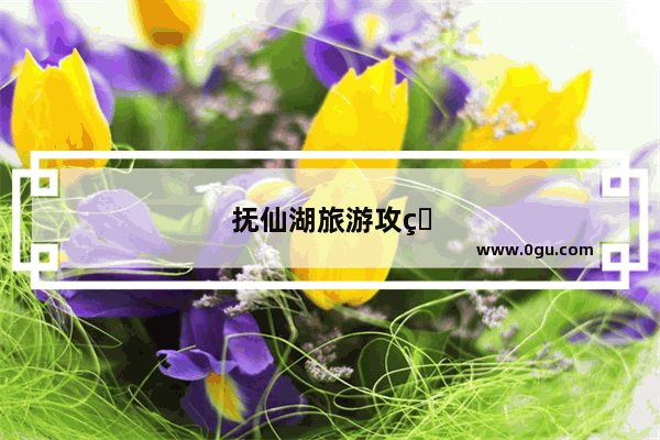 抚仙湖旅游攻略自驾游路线