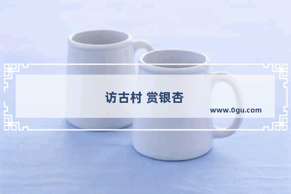 访古村 赏银杏 连州哪里的银杏最美